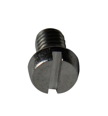 Stainless Steel Screw
